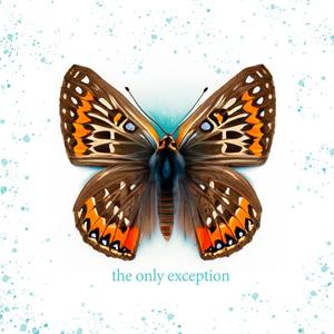 免费➕无码➕国产在线看百度
